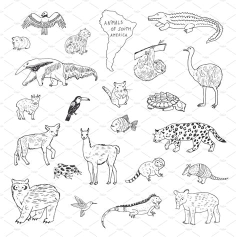animals  north america coloring pages