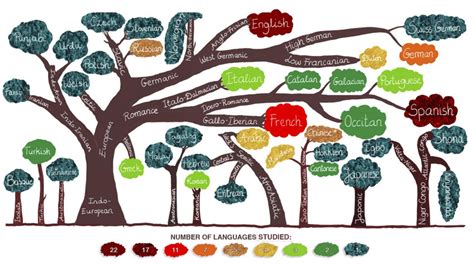 languages examined  clinical language studies presented  language