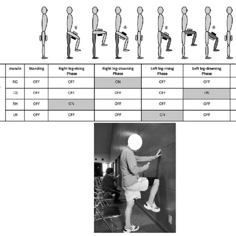 electrical stimulation pattern  hts  squat training   scientific diagram