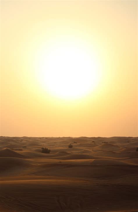 photo desert evening glowing   big sun