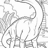 Coloring Apatosaurus Getcolorings Find sketch template