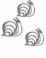 Coloring Snails Pages Snail Gif Popular sketch template