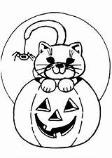 Coloring Jack Lantern Pages Cat Halloween Jackolantern Persian Color Happy Cats Printable Drawing Lanterns Getcolorings Anime Getdrawings Number Colouring Popular sketch template
