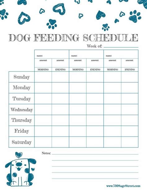 week  puppy food schedule vehement blogsphere pictures library