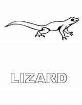 Lizard Pages Coloring Drawing Kids Printable Outline Little Monitor Print Paintingvalley Real Cartoon Choose Board Popular Draw sketch template