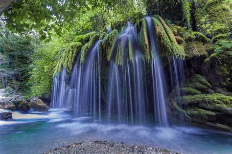 Das eiskalte wasser des wasserfalls capelli di venere fließt auf einem bett aus moos und flechten, die stränge gestalten und im unteren bereich einen teich . Capelli, capelli di Venere - Il Giardino Commestible