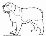 Coloring Pages Bernard Saint Dog Breed Bichon Frise Hubpages Getdrawings Printable Template sketch template