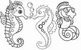 Coloring Fun Baby Seahorses Three Cute Pages Seahorse Cartoon Original sketch template