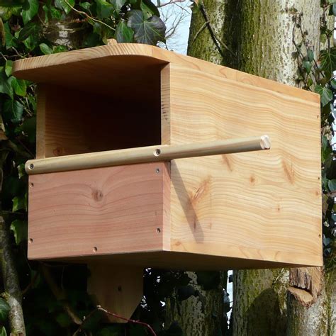 kestrel nest box nesting boxes owl nest box birds  prey