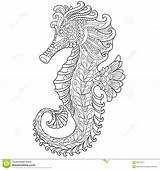 Seahorse Stylized Zentangle Antistress sketch template