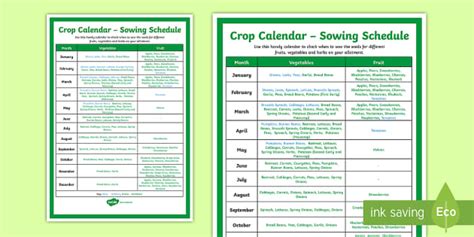 sowing schedule  crops gardening calendar twinkl