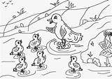 Feo Patito Duckling Cuentos Colorea Pato Iguales sketch template