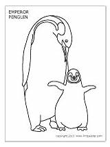Coloring Emperor Pages Penguin Penguins sketch template