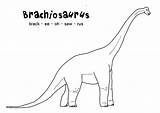 Spell Coloring Designlooter Brachiosaurus sketch template