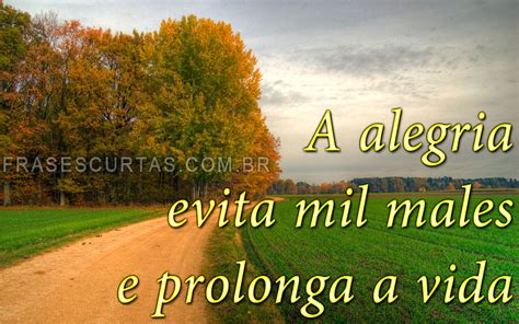 preferencia palavras  meditar  refletir bn ivango