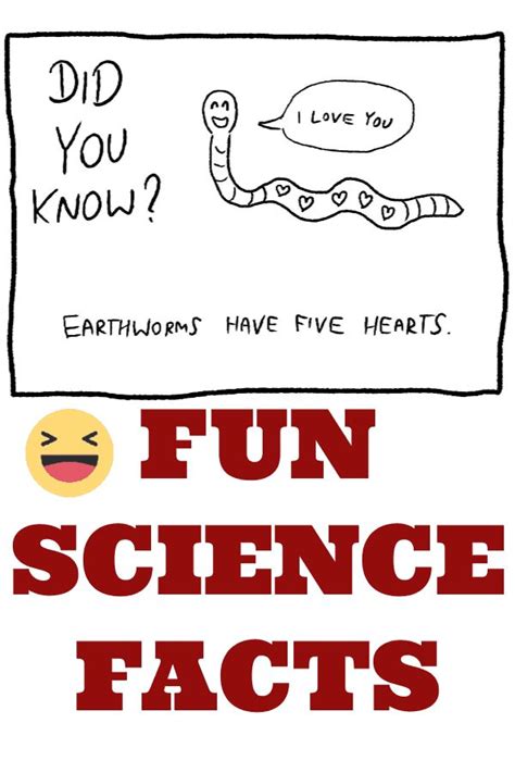 fun science facts  kids science facts cool science facts fun