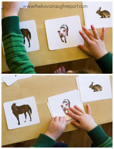 picture  picture matching  montessori toddlers