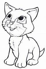 Cat Coloring Siamese Pages Getcolorings Printable sketch template