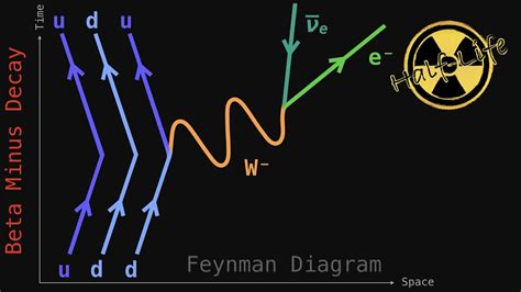 feynman diagrams beta decay equations  life video  youtube