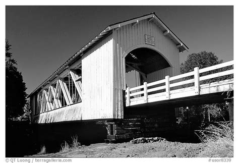 black  white picturephoto white covered bridge willamette valley