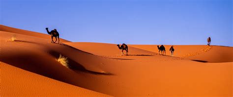 morocco the ultimate green travel guide ecobnb travel