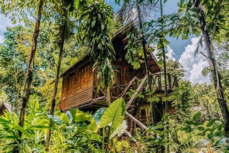 jungle treehouse stay  thailand khao sok national park treehouses