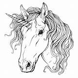 Unicorn Drawing Head Line Drawings 3axis Cdr Paintingvalley sketch template