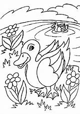 Lake Coloring Pages Lake3 sketch template