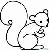Squirrel Coloring Cute Pages Kids Colouring Copy Treehut Clipart Websites Presentations Reports Powerpoint Projects Use These sketch template