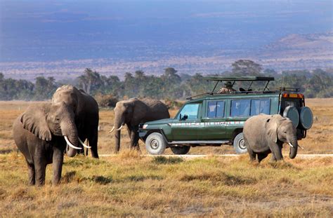 top national parks  kenya  travel recommendations tours