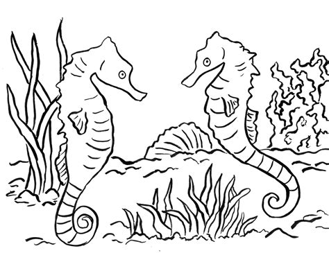 seahorse coloring page art starts