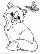 Chat Imprimer Coloring Pages Cat Kittens Flower Printable sketch template