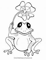 Frog Coloring 33kb sketch template