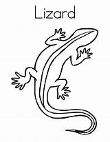 Lizard Coloring Pages Printable Print Kids sketch template