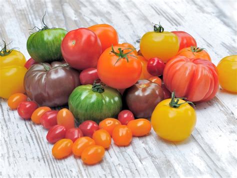 types  tomato varieties  growing