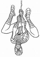Spiderman Upside Printcolorcraft sketch template