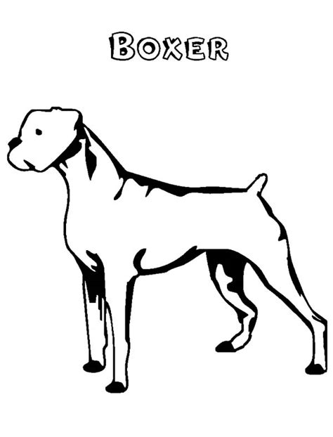 boxer dog coloring pages  place  color
