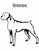 Boxer Dog Coloring Pages Face Template sketch template