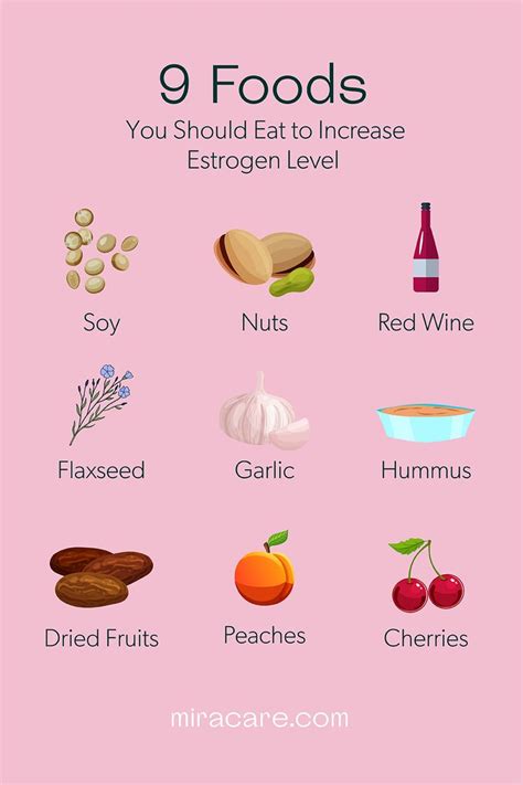 foods  increase estrogen levels estrogen foods estrogen rich