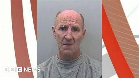 Man Jailed For Throwing A Hamster And Cage At His Wife Bbc News