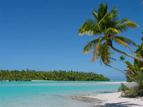 caribbean sea palm beach desktop wallpaper wallpaperscom