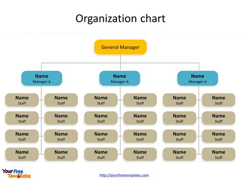 sample organization chart   document template