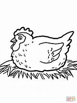 Coloring Hen Nest Pages Printable Drawing sketch template