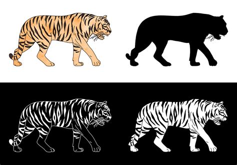 tiger silhouette vector set   vector art stock graphics