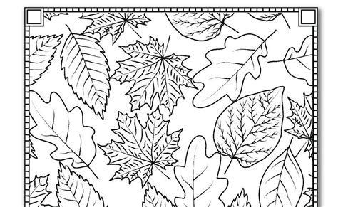 printable autumn coloring pages  adults thiva hellas
