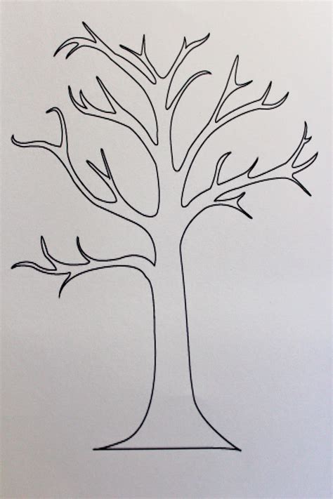 leafless tree outline printable   leafless tree