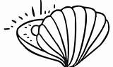 Coloring Pages Mollusks Clam Cuttlefish sketch template