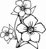 Pages Coloring Flower Plumeria Getdrawings sketch template