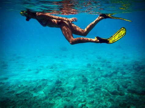 snorkelen op curacao ontdek de mooie onderwaterwereld