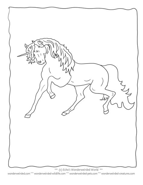 coloring pages  realistic unicorns mythical creatures unicorn